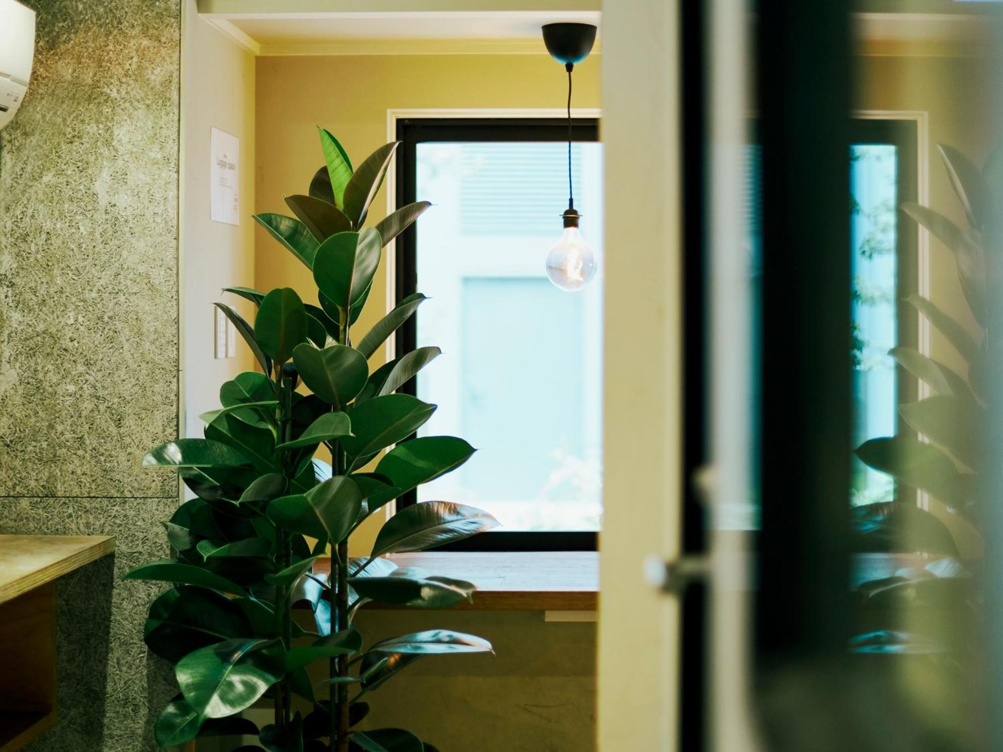 Hostal Akasaka Hive *
